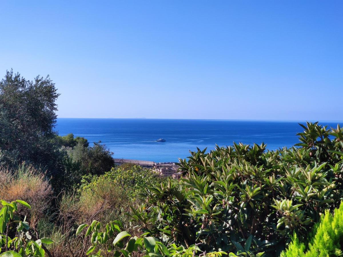 Domus Anxur Terracina