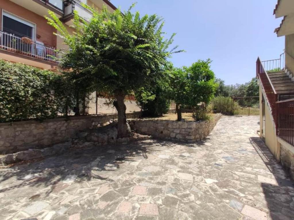 Domus Anxur Terracina